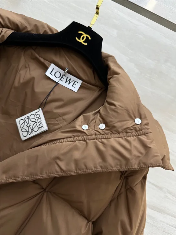 Loewe hooded down jacket